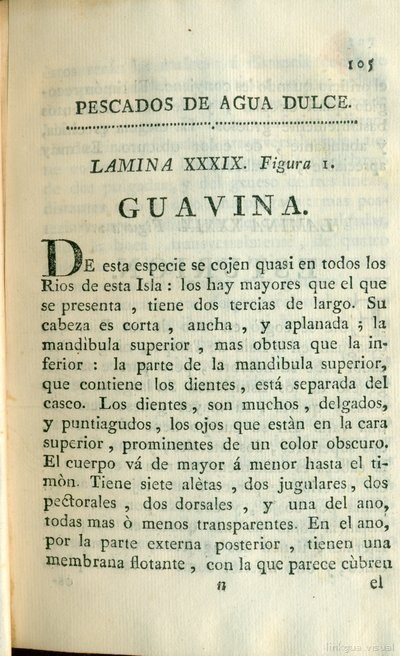 Descripción de diferentes piezas de historia natural, lámina 4982