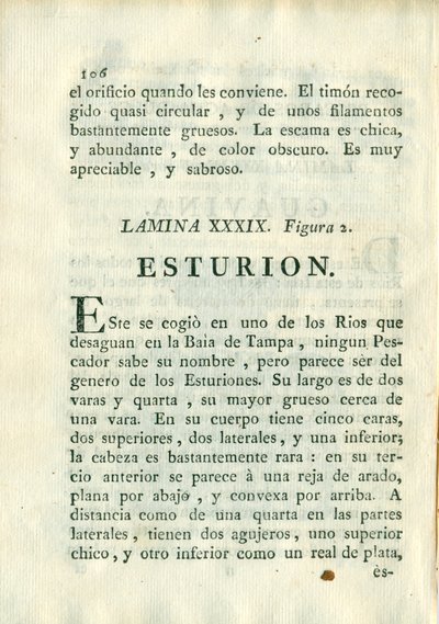 Descripción de diferentes piezas de historia natural, lámina — Antonio Parra
