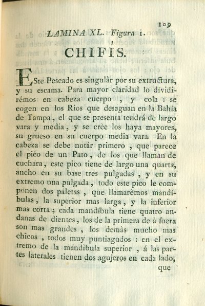 Descripción de diferentes piezas de historia natural, lámina — Antonio Parra