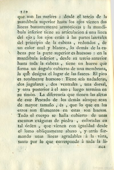 Descripción de diferentes piezas de historia natural, lámina 4987