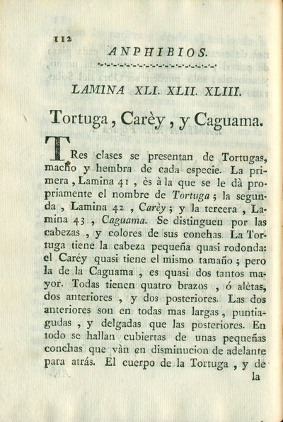 Descripción de diferentes piezas de historia natural, lámina — Antonio Parra