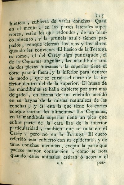 Descripción de diferentes piezas de historia natural, lámina — Antonio Parra