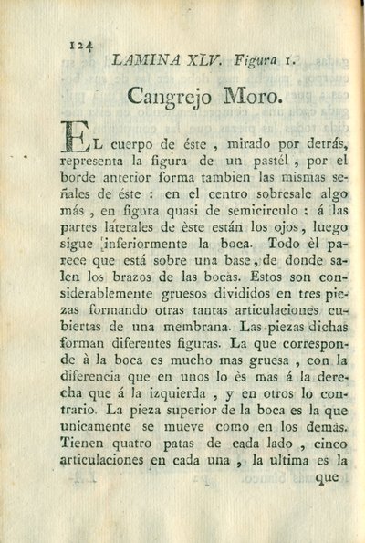 Descripción de diferentes piezas de historia natural, lámina — Antonio Parra