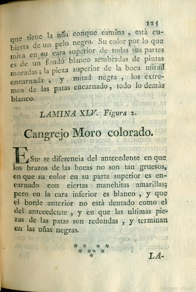 Descripción de diferentes piezas de historia natural, lámina 5002