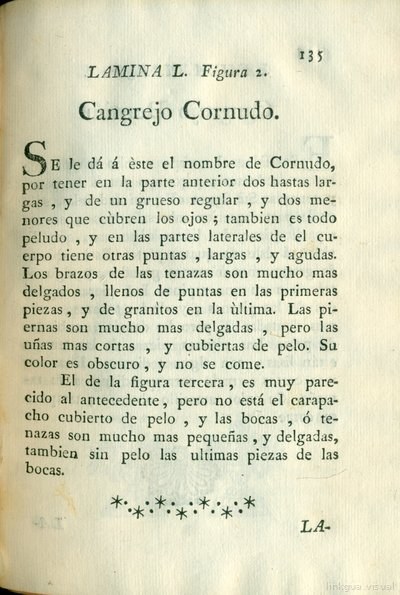 Descripción de diferentes piezas de historia natural, lámina 5012