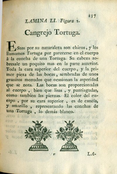 Descripción de diferentes piezas de historia natural, lámina — Antonio Parra