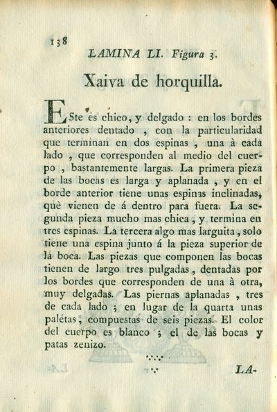 Descripción de diferentes piezas de historia natural, lámina — Antonio Parra