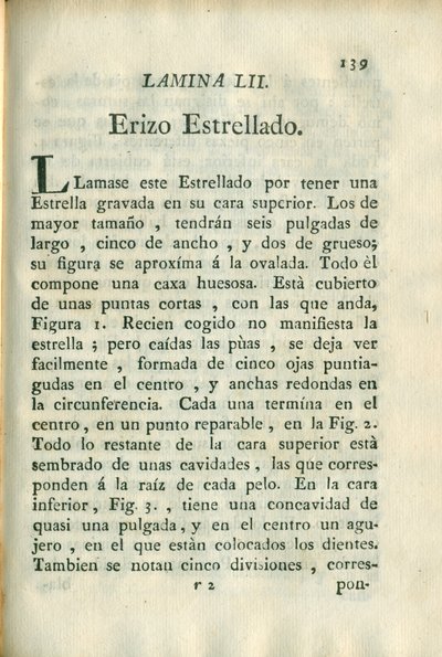 Descripción de diferentes piezas de historia natural, lámina 5018