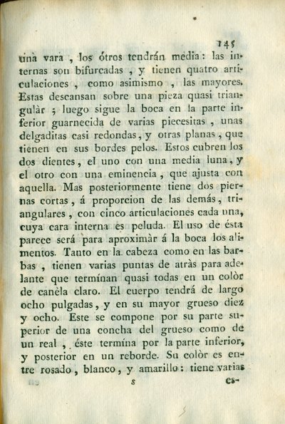 Descripción de diferentes piezas de historia natural, lámina — Antonio Parra