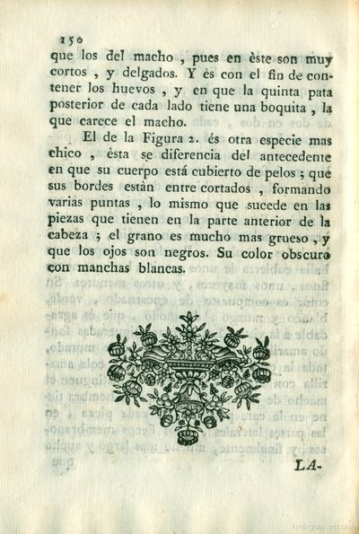 Descripción de diferentes piezas de historia natural, lámina 5029