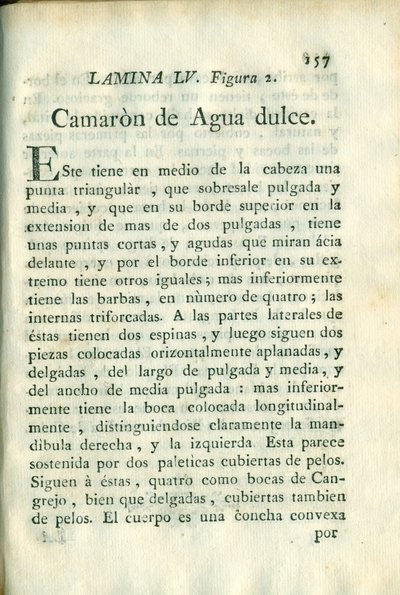 Descripción de diferentes piezas de historia natural, lámina — Antonio Parra