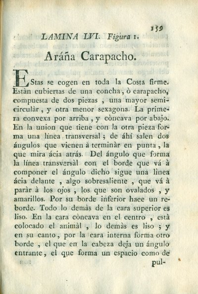 Descripción de diferentes piezas de historia natural, lámina 5038