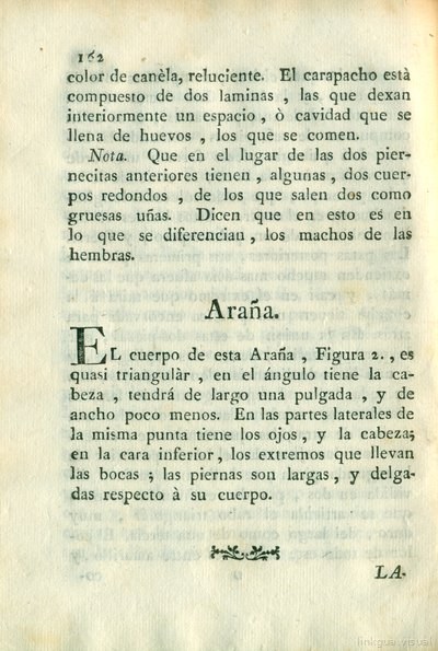 Descripción de diferentes piezas de historia natural, lámina 5041