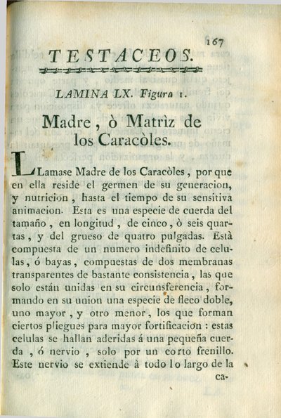 Descripción de diferentes piezas de historia natural, lámina — Antonio Parra