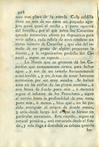 Descripción de diferentes piezas de historia natural, lámina — Antonio Parra
