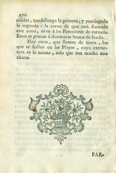 Descripción de diferentes piezas de historia natural, lámina 5051