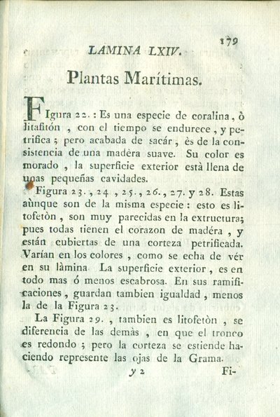Descripción de diferentes piezas de historia natural, lámina — Antonio Parra