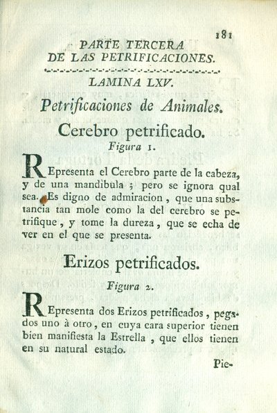 Descripción de diferentes piezas de historia natural, lámina — Antonio Parra