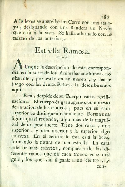 Descripción de diferentes piezas de historia natural, lámina 5068