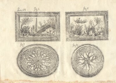 Descripción de diferentes piezas de historia natural, lámina — Antonio Parra