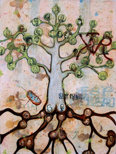 Alexis esquivel, arbol genealogico, 2008, X CM — Pascual Deliciosa