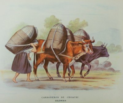 Carboneros de Choachí — Ramón Torres Méndez