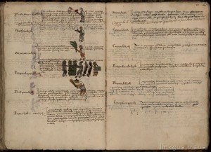 Primeros Memoriales, lámina, nº 263 — No identificado
