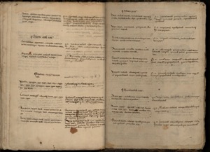 Primeros Memoriales, lámina, nº 288 — Bernardino de Sahagún (coord.)