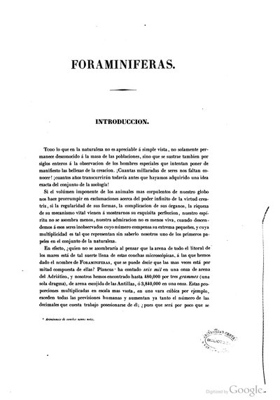 Texto — Ramón de la Sagra