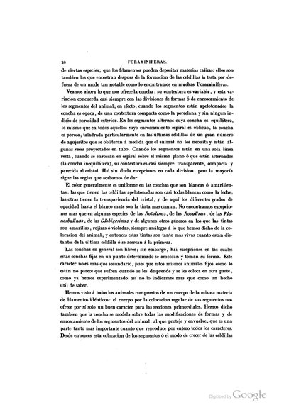 Texto — Ramón de la Sagra
