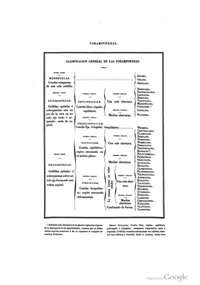 Clasificación general de las foraminíferas — Ramón de la Sagra