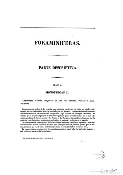 FORAMINIFERAS PARTE DESCRIPTIVA MONOSTEGAS