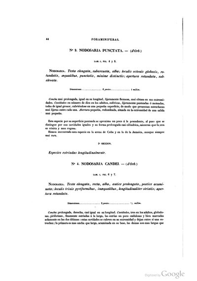 Texto — Ramón de la Sagra