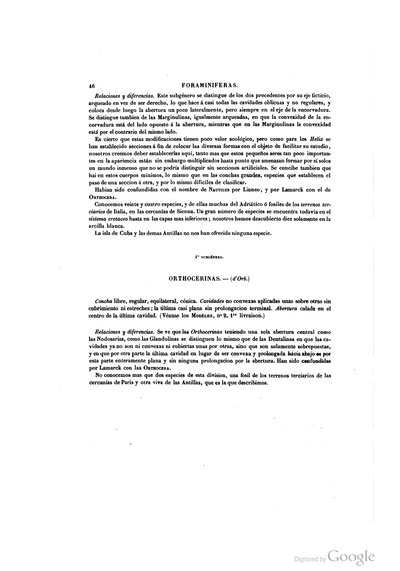 Texto — Ramón de la Sagra
