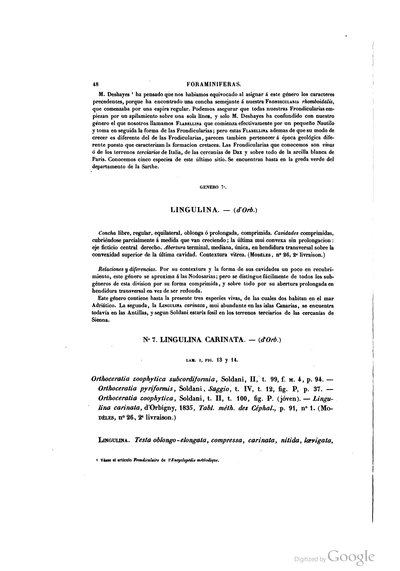 Texto — Ramón de la Sagra