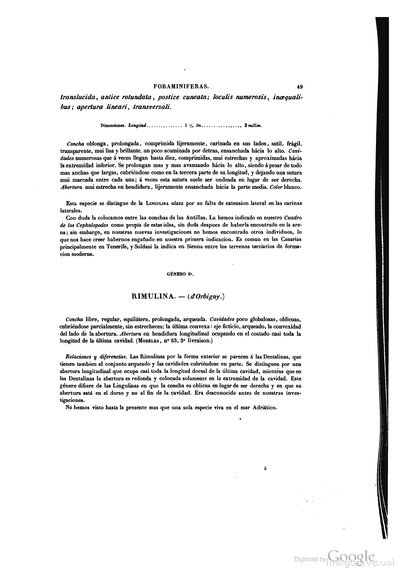 Texto — Ramón de la Sagra
