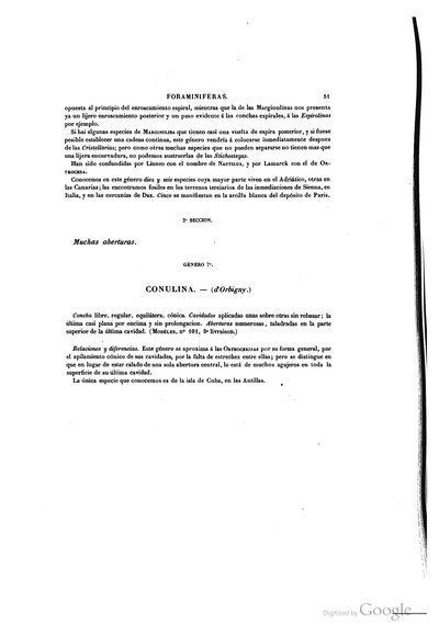 Texto — Ramón de la Sagra