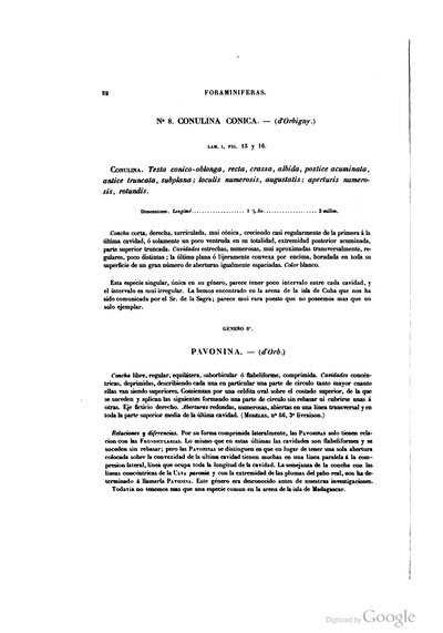 Texto — Ramón de la Sagra