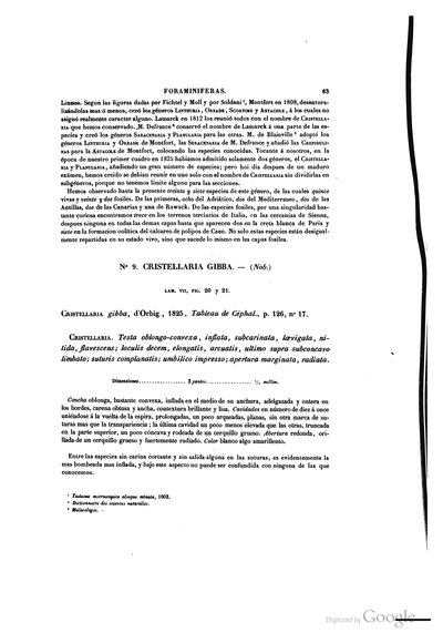 Texto — Ramón de la Sagra