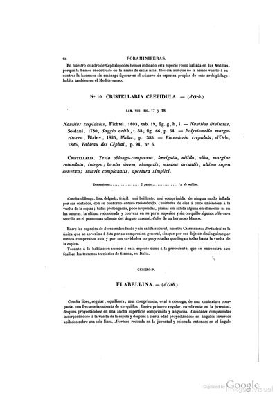 Texto