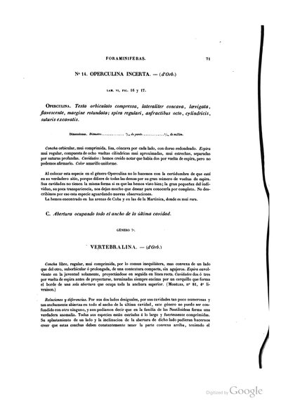 Texto — Ramón de la Sagra