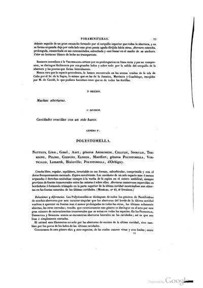 Texto — Ramón de la Sagra