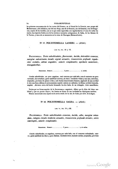 Texto — Ramón de la Sagra