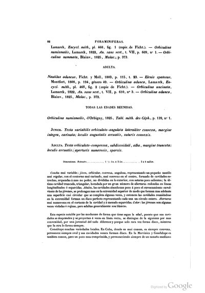 Texto — Ramón de la Sagra