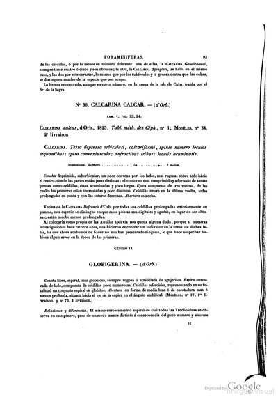 Texto