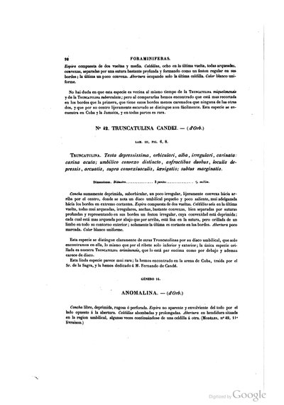 Texto — Ramón de la Sagra