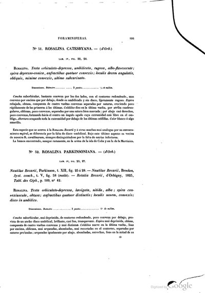 Texto — Ramón de la Sagra