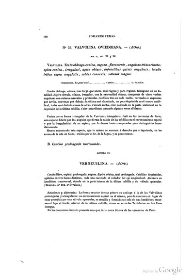 Texto — Ramón de la Sagra