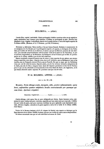 Texto — Ramón de la Sagra
