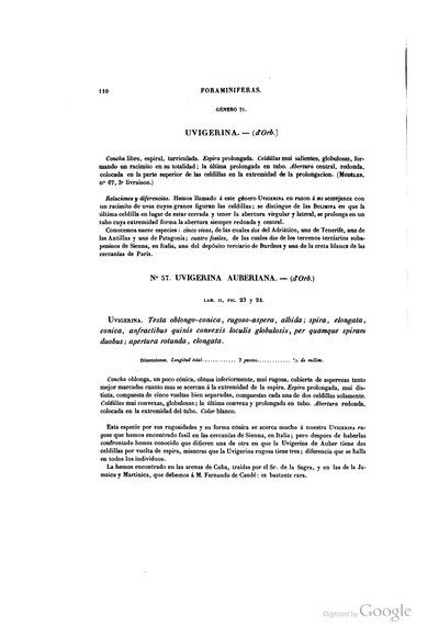 Texto — Ramón de la Sagra